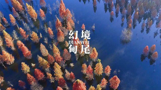 如果父母想去养老院我们该同意还是拒绝?知识星球-专业知识共享平台